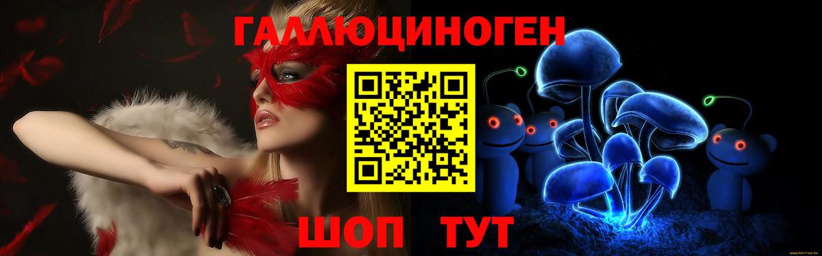 сколько стоит  Псилоцибиновые грибы Psilocybine cubensis  Вход с VPN  Галлюциногенные грибы мицелий  Гусев 